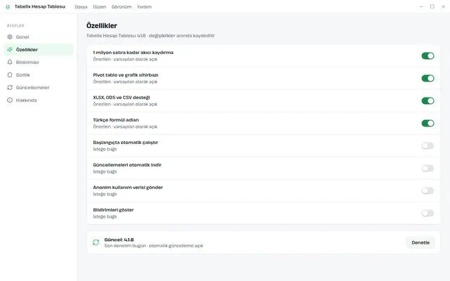 Tabelix Hesap Tablosu ayarlar ekranı