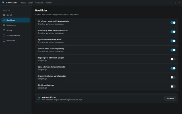 Tünelix VPN ayarlar ekranı